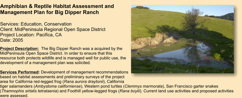 Project Description:  The Big Dipper Ranch was a acquired by the MidPeninsula Open Space District. In order to ensure that this resource both protects wildlife and is managed well for public use, the development of a management plan was solicited.    Services Performed: Development of management recommendations based on habitat assessments and preliminary surveys of the project area for California red-legged frog (Rana aurora draytonii), California tiger salamanders (Ambystoma californiense), Western pond turtles (Clemmys marmorata), San Francisco garter snakes (Thamnophis sirtalis tetrataenia) and Foothill yellow-legged frogs (Rana boylii). Current land use activities and proposed activities were assessed.    Amphibian & Reptile Habitat Assessment and Management Plan for Big Dipper Ranch  Services: Education, Conservation Client: MidPeninsula Regional Open Space District Project Location: Pacifica, CA Date: 2005