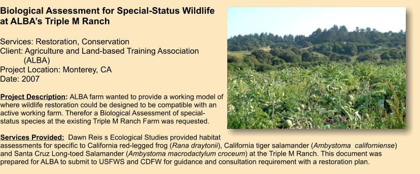 Project Description: ALBA farm wanted to provide a working model of where wildlife restoration could be designed to be compatible with an active working farm. Therefor a Biological Assessment of special-status species at the existing Triple M Ranch Farm was requested.    Services Provided:  Dawn Reis s Ecological Studies provided habitat assessments for specific to California red-legged frog (Rana draytonii), California tiger salamander (Ambystoma  californiense)  and Santa Cruz Long-toed Salamander (Ambystoma macrodactylum croceum) at the Triple M Ranch. This document was prepared for ALBA to submit to USFWS and CDFW for guidance and consultation requirement with a restoration plan.    Biological Assessment for Special-Status Wildlife at ALBA’s Triple M Ranch  Services: Restoration, Conservation Client: Agriculture and Land-based Training Association    (ALBA)   Project Location: Monterey, CA Date: 2007