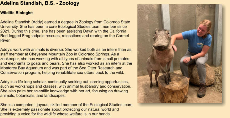 Adelina Standish, B.S. - Zoology Wildlife Biologist  Adelina Standish (Addy) earned a degree in Zoology from Colorado State University. She has been a core Ecological Studies team member since 2021. During this time, she has been assisting Dawn with the California Red-legged Frog tadpole rescues, relocations and rearing on the Carmel River.  Addy’s work with animals is diverse. She worked both as an intern than as staff member at Cheyenne Mountain Zoo in Colorado Springs. As a zookeeper, she has working with all types of animals from small primates and elephants to goats and bears. She has also worked as an intern at the Monterey Bay Aquarium and was part of the Sea Otter Research and Conservation program, helping rehabilitate sea otters back to the wild.  Addy is a life-long scholar, continually seeking out learning opportunities, such as workshops and classes, with animal husbandry and conservation. She also pairs her scientific knowledge with her art, focusing on drawing animals, botanicals, and landscapes.  She is a competent, joyous, skilled member of the Ecological Studies team. She is extremely passionate about protecting our natural world and providing a voice for the wildlife whose welfare is in our hands.